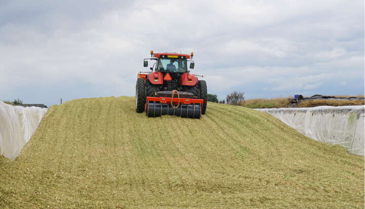 silo befullen maissilage silo befullen maissilage